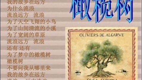 经典歌曲推荐《橄榄树》